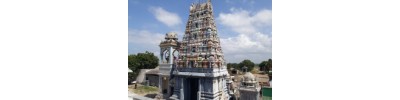 192. திருக்கேதீச்சரம்